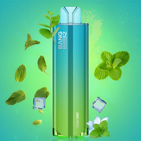 Bang B2 - 7K Puffs (Bold 50)